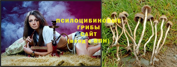 мяу мяу мука Алексин