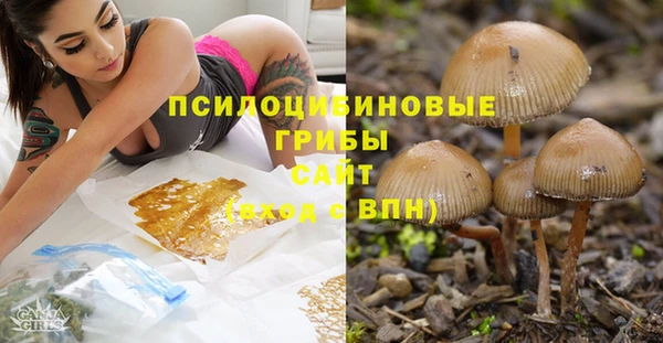 spice Алексеевка