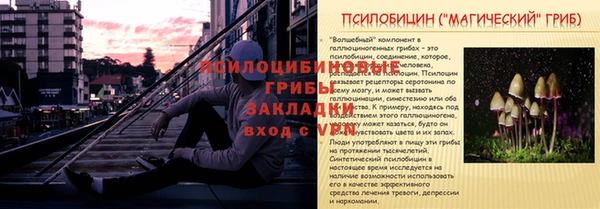 spice Алексеевка