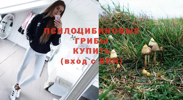 мяу мяу мука Алексин