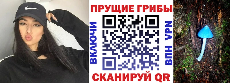 Псилоцибиновые грибы Psilocybe  ОМГ ОМГ tor  Чердынь 